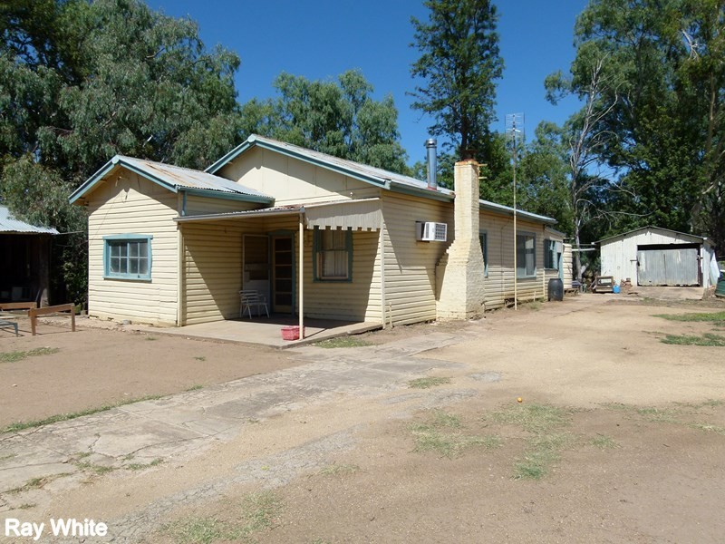 144 Salisbury Road, Forbes NSW 2871