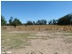 144 Salisbury Road, Forbes NSW 2871