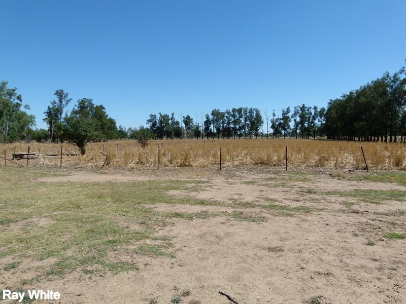 144 Salisbury Road, Forbes NSW 2871