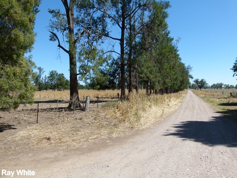 144 Salisbury Road, Forbes NSW 2871
