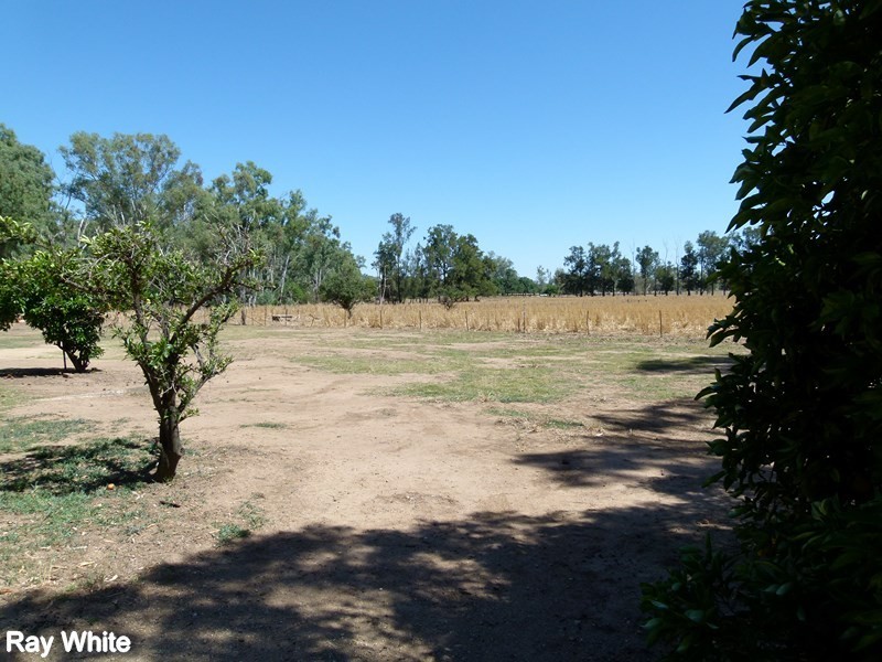 144 Salisbury Road, Forbes NSW 2871