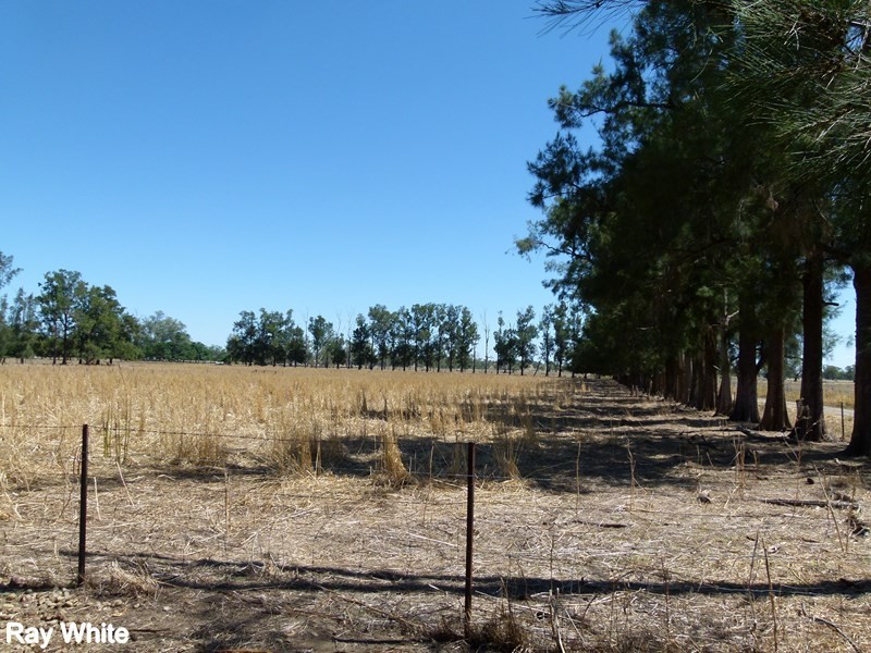 144 Salisbury Road, Forbes NSW 2871