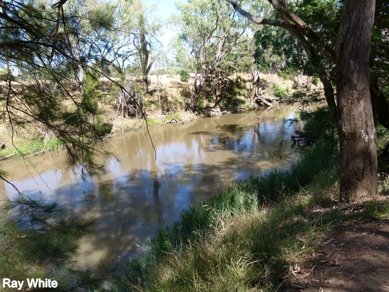 144 Salisbury Road, Forbes NSW 2871