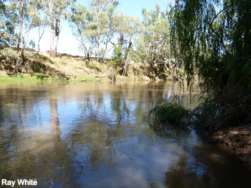 144 Salisbury Road, Forbes NSW 2871