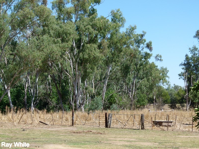 144 Salisbury Road, Forbes NSW 2871