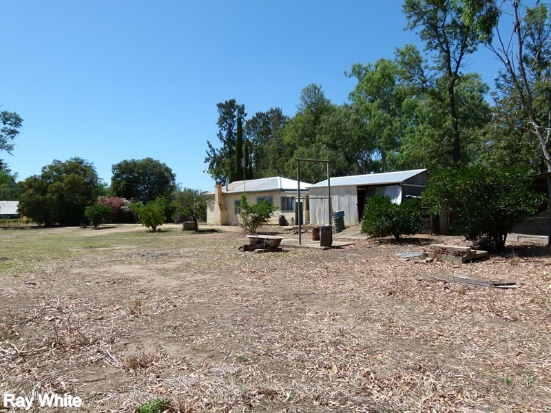 144 Salisbury Road, Forbes NSW 2871