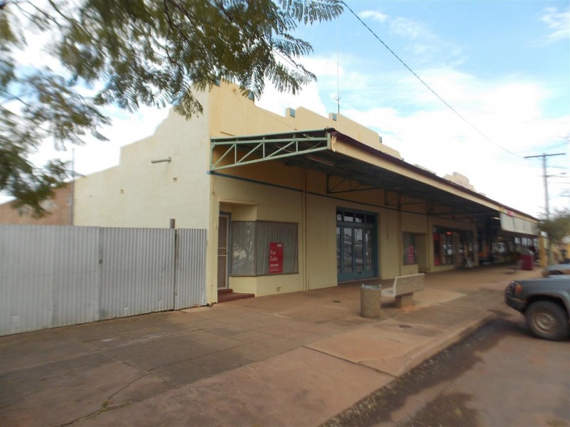 39 Cardigan Street, Tullamore NSW 2874