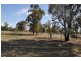 Lot 51 Noble Street, Eugowra NSW 2806