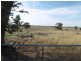 1506 Newell Highway, Parkes NSW 2870