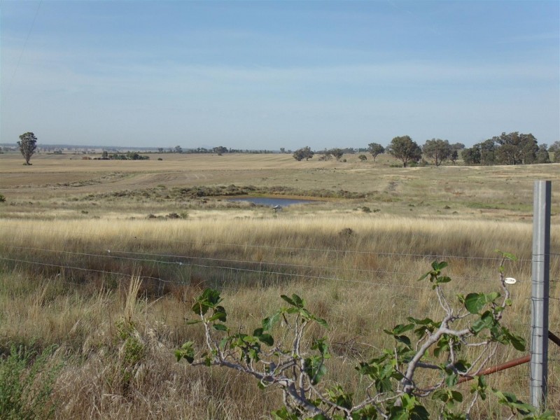 1506 Newell Highway, Parkes NSW 2870