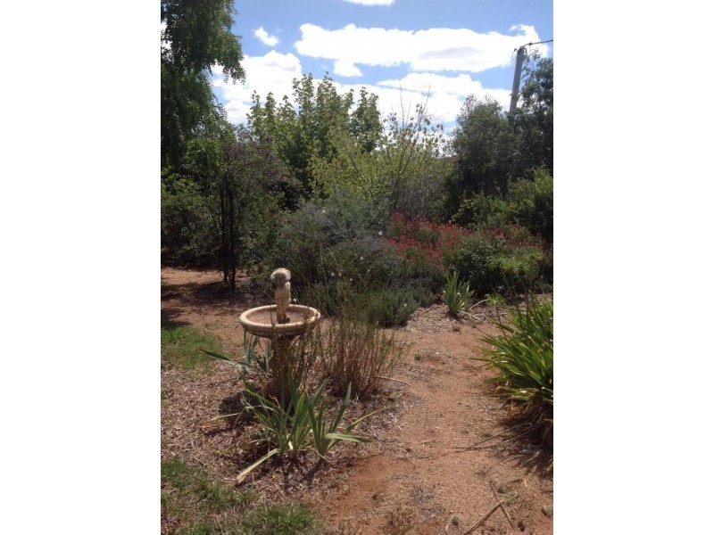 68-72 Thomas Street, Parkes NSW 2870