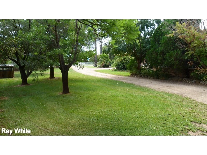 146 Flint Street, Forbes NSW 2871
