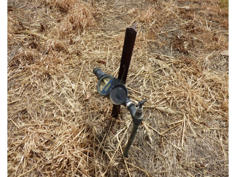 3 Tickner Street, Forbes NSW 2871