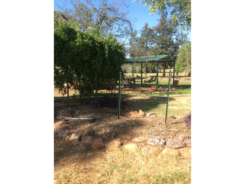 Alectown NSW 2870