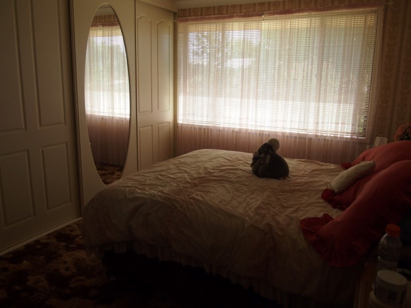 150 Bathurst Street, Condobolin NSW 2877