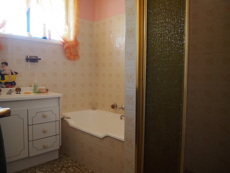 150 Bathurst Street, Condobolin NSW 2877