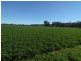8834 Henry Parkes Way, Parkes NSW 2870