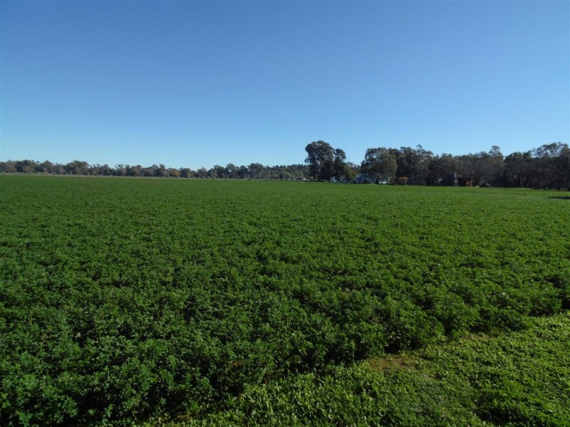 8834 Henry Parkes Way, Parkes NSW 2870