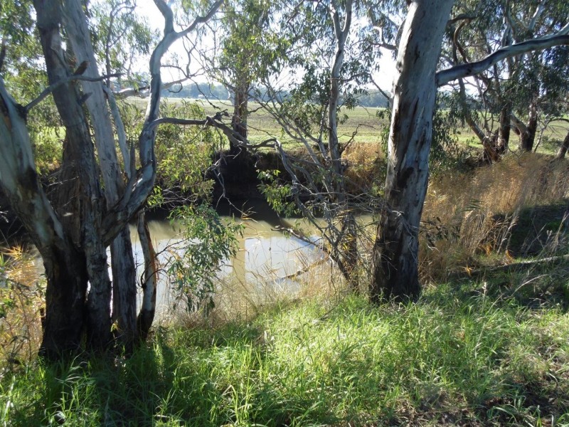 8834 Henry Parkes Way, Parkes NSW 2870