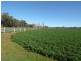 8834 Henry Parkes Way, Parkes NSW 2870