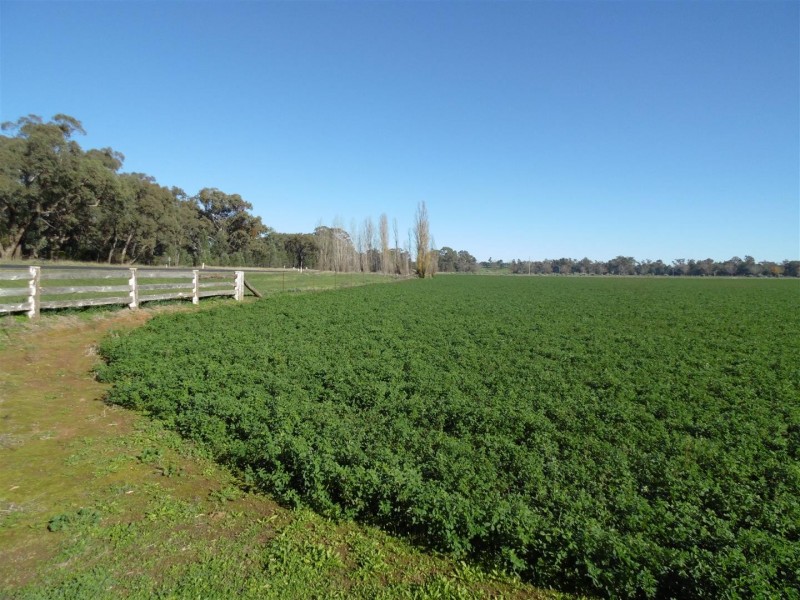 8834 Henry Parkes Way, Parkes NSW 2870