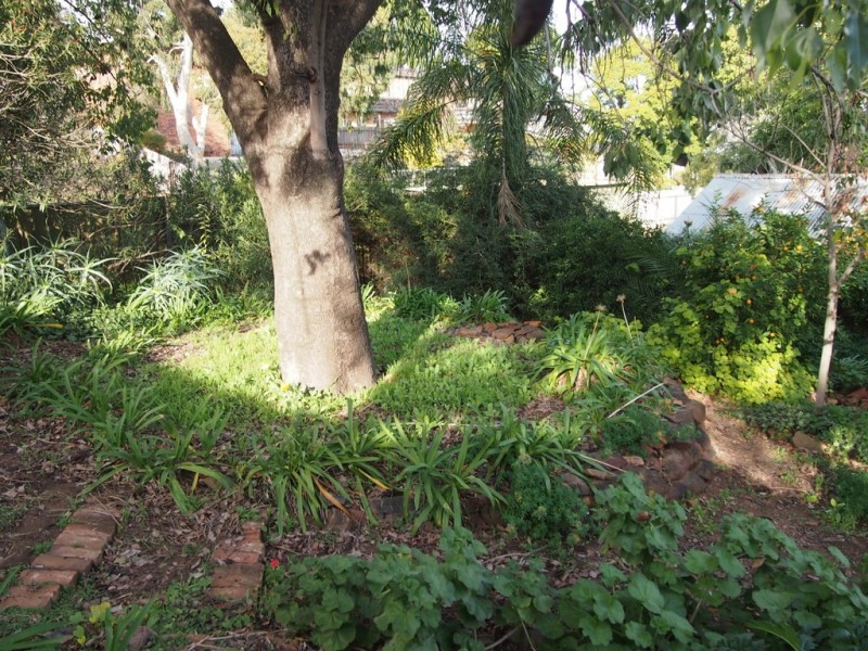 27 Currajong Street, Parkes NSW 2870