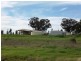 6546 Eugowra Road, Parkes NSW 2870