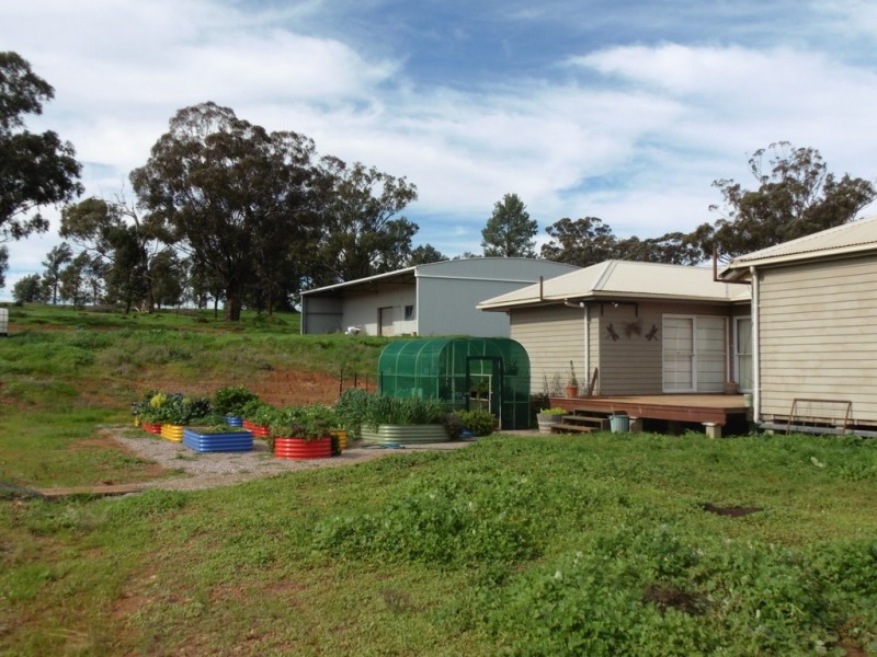6546 Eugowra Road, Parkes NSW 2870