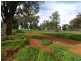 6546 Eugowra Road, Parkes NSW 2870