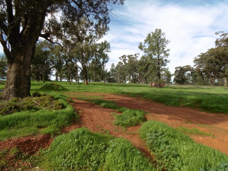 6546 Eugowra Road, Parkes NSW 2870