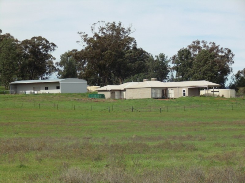 6546 Eugowra Road, Parkes NSW 2870