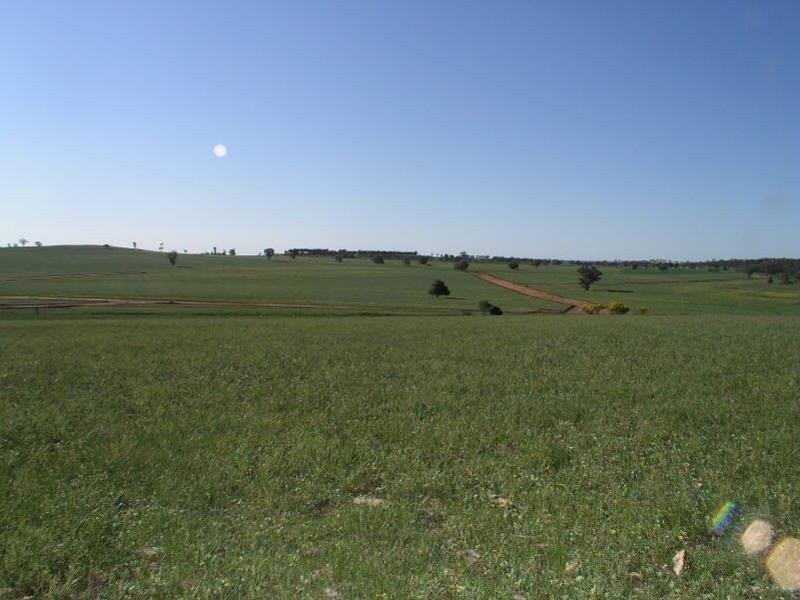 . Calarie Road, Forbes NSW 2871