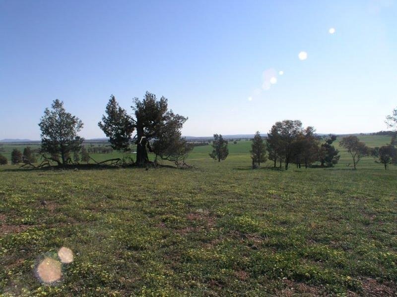 . Calarie Road, Forbes NSW 2871