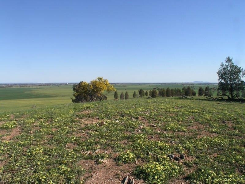 . Calarie Road, Forbes NSW 2871