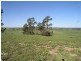 . Calarie Road, Forbes NSW 2871