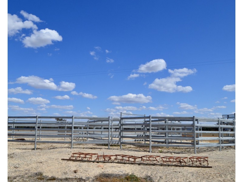 91 Carrawobitty Lane, Forbes NSW 2871