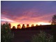 3544 Condobolin Road, Bogan Gate NSW 2876