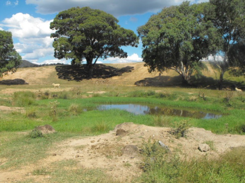 301 Lake Metcalfe Road, Parkes NSW 2870