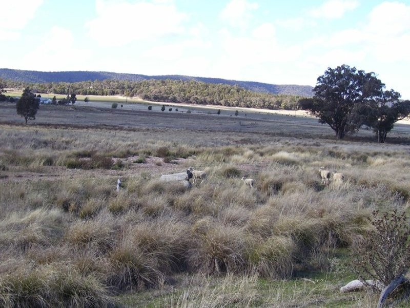 301 Lake Metcalfe Road, Parkes NSW 2870