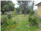 301 Lake Metcalfe Road, Parkes NSW 2870