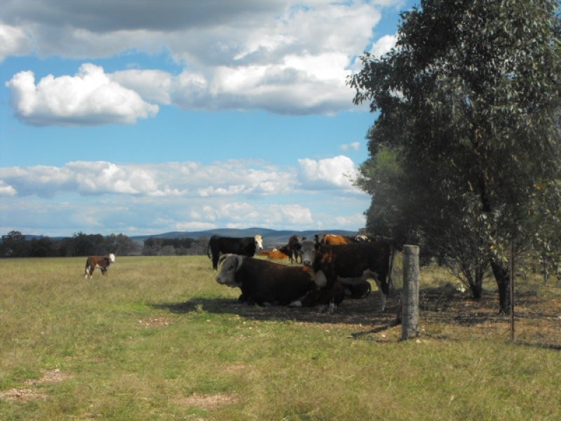 301 Lake Metcalfe Road, Parkes NSW 2870