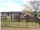 301 Lake Metcalfe Road, Parkes NSW 2870