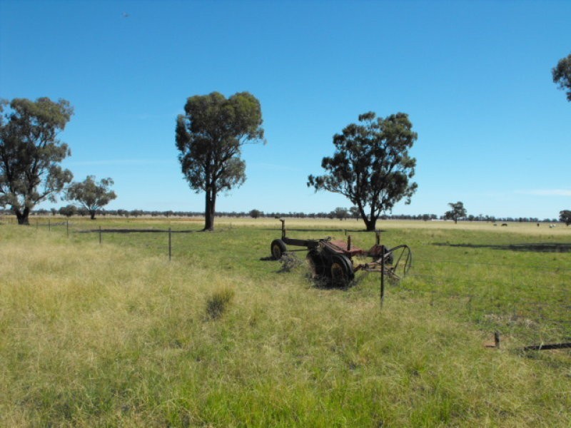 80 Blackstock Hill Road, Peak Hill NSW 2869