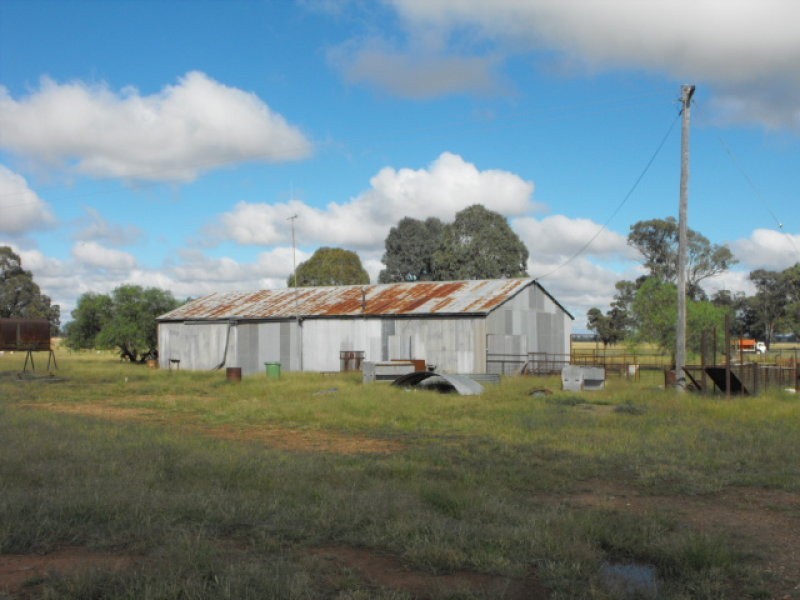 80 Blackstock Hill Road, Peak Hill NSW 2869