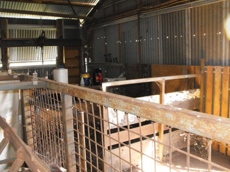 80 Blackstock Hill Road, Peak Hill NSW 2869