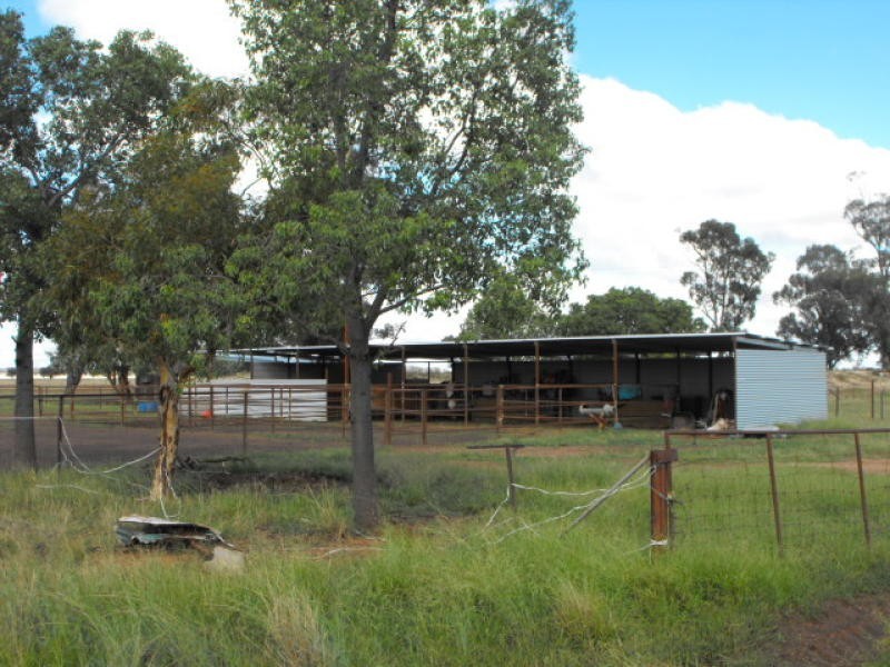 80 Blackstock Hill Road, Peak Hill NSW 2869