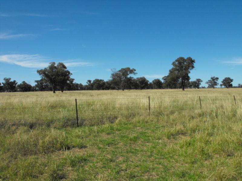 80 Blackstock Hill Road, Peak Hill NSW 2869