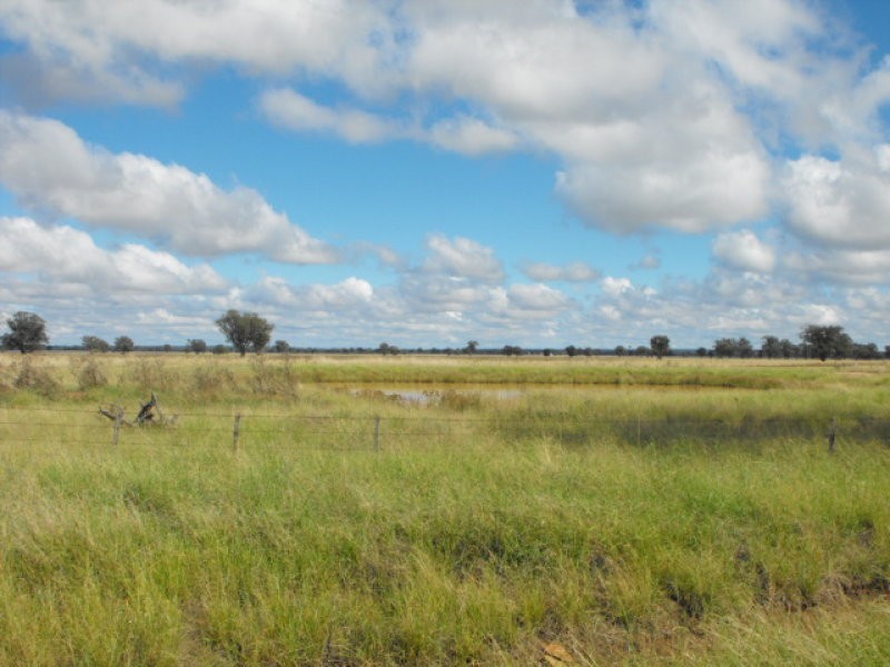 80 Blackstock Hill Road, Peak Hill NSW 2869