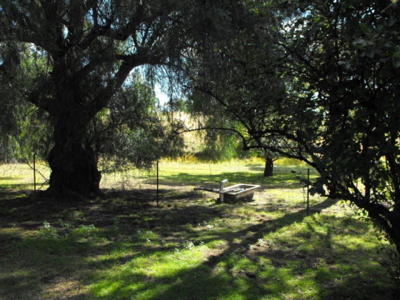 315 Chatmans Road, Mandagery NSW 2870