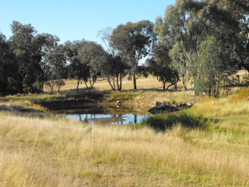 315 Chatmans Road, Mandagery NSW 2870